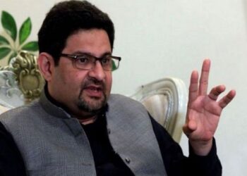 Miftah Ismail requests that gun laws be altered