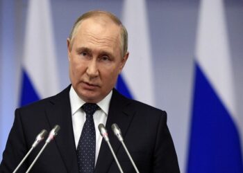 Russian embassy; Putin will not attend the G20 summit in person