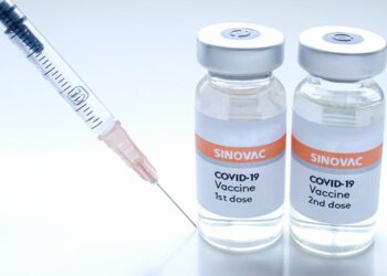 SINOVAC aims to make investments in Punjab's livestock and health sectors