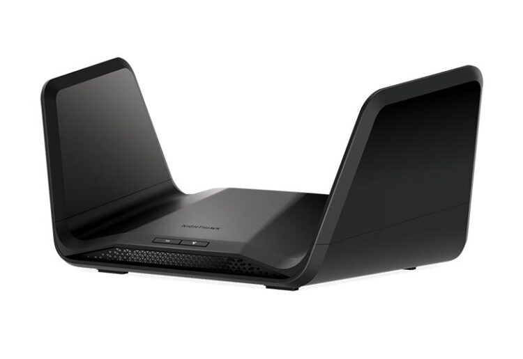 A NETGEAR Router defect allowed access to restricted services