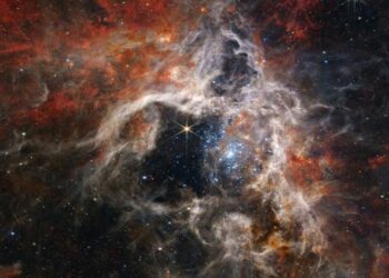 A new era of stars promised by the Webb telescope