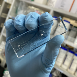 Biotech company is using tiny worms in a test for pancreatic cancer