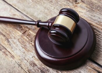 False cryptocurrency "bitcoin killer" inventor enters a criminal plea