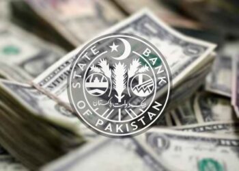 Forex holdings of SBP hit a nearly four-year low