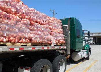 Price of onions might increase dramatically