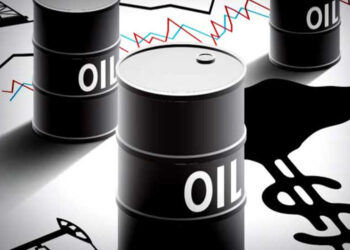 Russia agreed to give Pakistan crude oil at a lesser cost, Musadik Malik