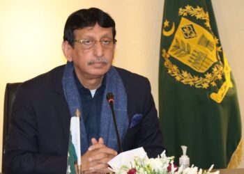 SBP and FBR policies are causing hindrances in the IT exports growth, IT Minister