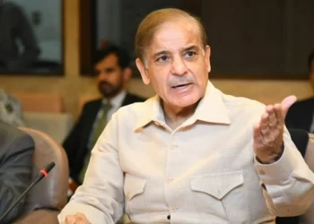 Energy-saving plan must be strictly implemented, PM Shehbaz Sharif