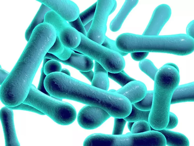 nih-issued-a-warning-about-diphtheria-outbreak-in-pakistan