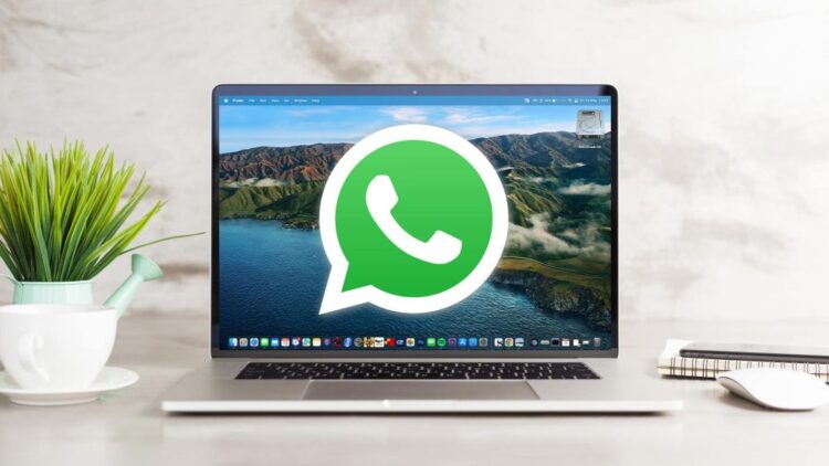 public-beta-of-whatsapps-native-mac-app-is-released