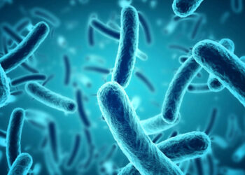 Researchers find the 1st Life form known to eat viruses