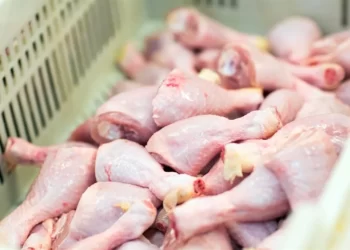 chicken-meat-crosses-rs-700-prices-breaks-all-records