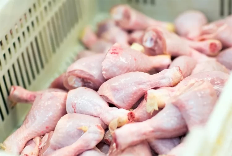 chicken-meat-crosses-rs-700-prices-breaks-all-records