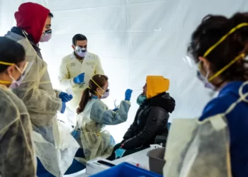 covid-19-this-year-could-be-similar-to-the-flu-who