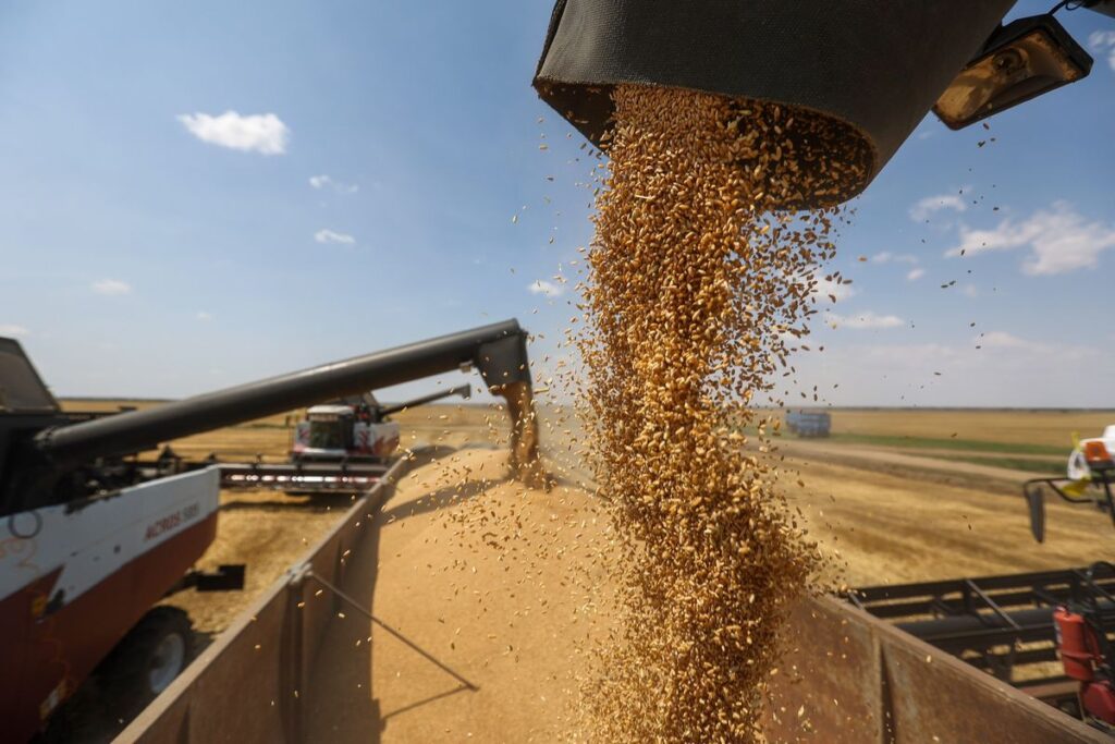 pakistan-gets-50000-metric-tons-of-wheat-from-russia