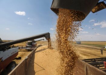 pakistan-gets-50000-metric-tons-of-wheat-from-russia