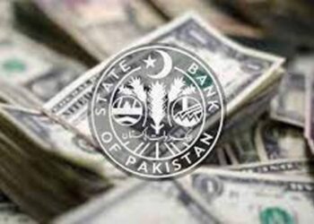sbp-reserves-record-drop-owing-to-repayment