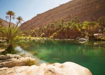 worlds-longest-river-to-be-built-by-ksa-of-about-12000-km