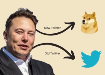 dogecoin-falls-6-5-after-the-twitter-logo-emerges