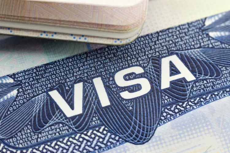 Top 5 Countries that provide job visas