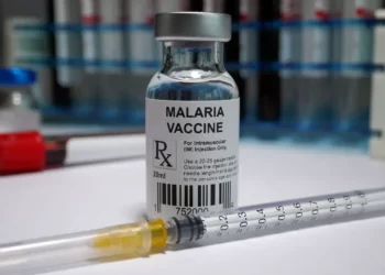 the-oxford-malaria-vaccine-receives-initial-approval