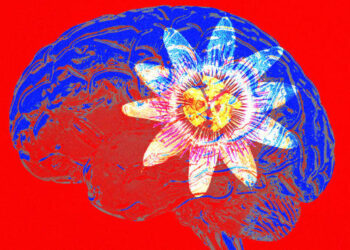 New skull-injected 6 legged robot can monitor the brain