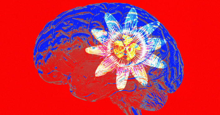 New skull-injected 6 legged robot can monitor the brain