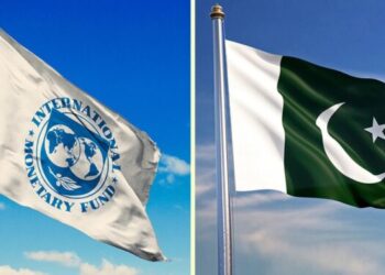 to-get-imf-deal-pakistan-must-have-8-bn-from-other-source