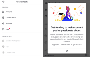 tiktok-will-reimburse-creators-of-viral-filters-effects
