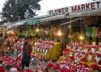 Islamabad will see an amazing flower market in f8 soon