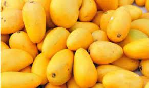 mangoes-from-pakistan-will-transported-by-road-to-china