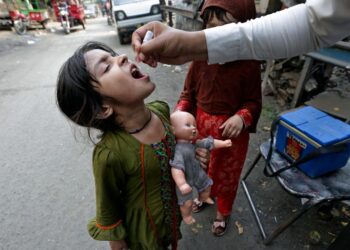 Afghan origin Type-1 Wild Poliovirus detected in Peshawar