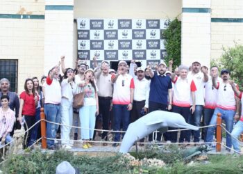 bank-alfalah-starts-greenforward-seed-15k-mangrove-tree