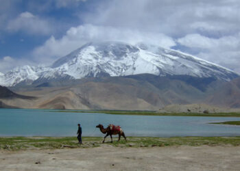 Climate-resilient Recharge Pakistan initiative gets $77.8 mn