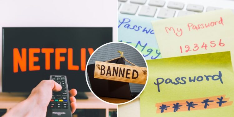 netflix-password-sharing-is-prohibited-in-uae