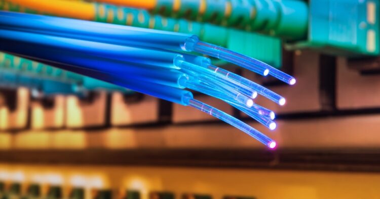 use-dark-fiber-for-official-reporting-govt-suggests