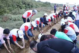 bank-alfalah-starts-greenforward-seed-15k-mangrove-tree