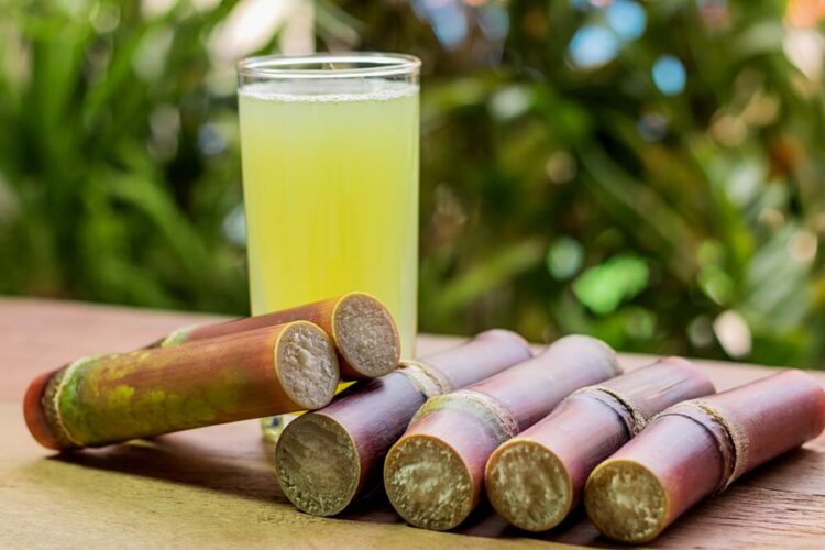 sugarcane-support-price-of-rs-425-40-kg-approved-by-sindh