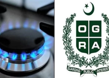 The Government is Planning a 60% Gas Price Hike.