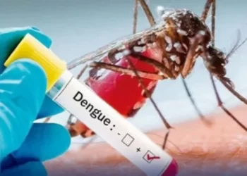 720-dengue-cases-has-currently-been-registered-in-rawalpindi