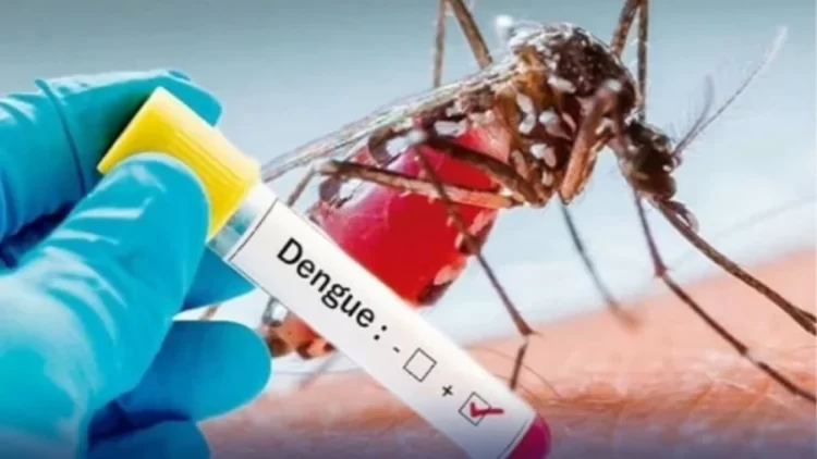 720-dengue-cases-has-currently-been-registered-in-rawalpindi