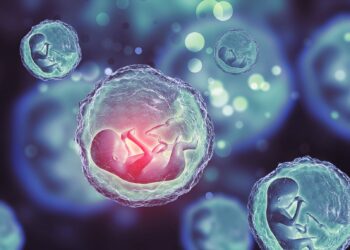 scientists-create-whole-human-embryo-without-sperm-ovum