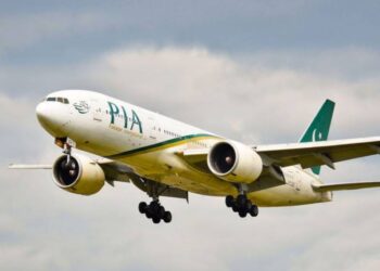 pia-privatization-process-faces-legal-hurdles-and-challenges