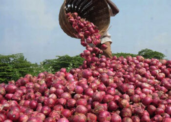 price-of-onion-flour-and-sugar-reach-new-high-for-consumers