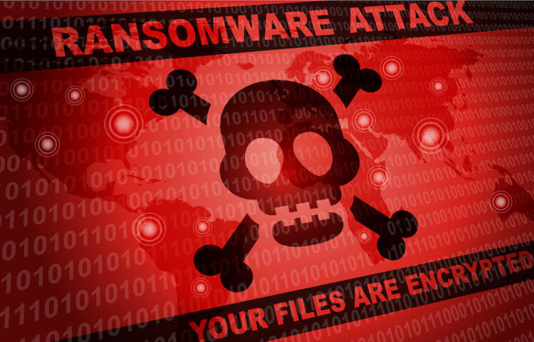 rhysida-a-ransomware-gang-pta-issues-cyber-security-alert