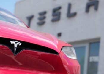 elon-musk-confirms-a-new-budget-tesla-model-coming-in-2025
