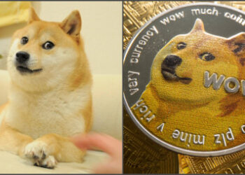 Announcing Kabosu, the face of Dogecoin's death at 18