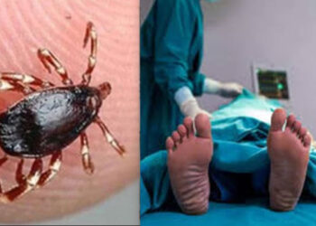 Attock bans qurbani markets after high Congo Virus seen