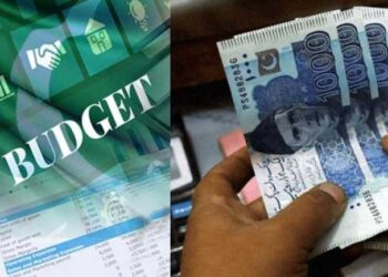 govt-plans-the-next-budget-at-rs-295