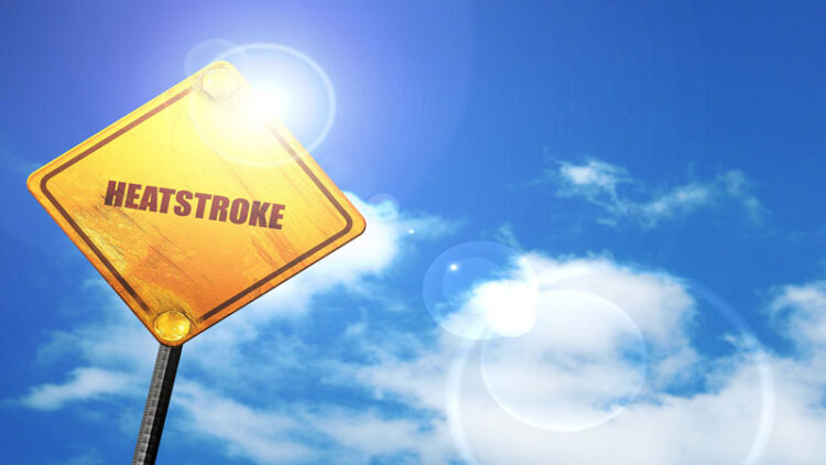 Heatwave Warning: Pakistan to see 50+ degree temperatures